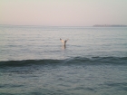 Море 2012