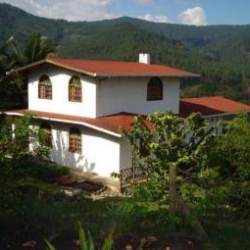 Недвижимость в Гондурасе