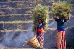 Непал: особенности культурных аспектов жизни граждан