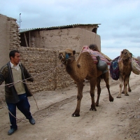 Знакомство, брак и создание семьи с туркменами