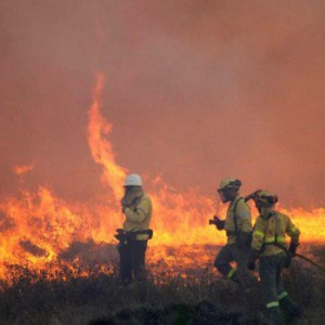 В Болгарии возросла угроза возникновения пожаров