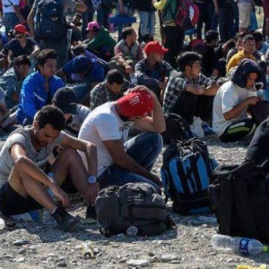 В Болгарии предпочитают оставаться нелегальные мигранты из Сирии, Ирака и Афганистана