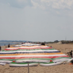 Шезлонги и зонты на Южном побережье Болгарии будут стоит на уровне 6 левов