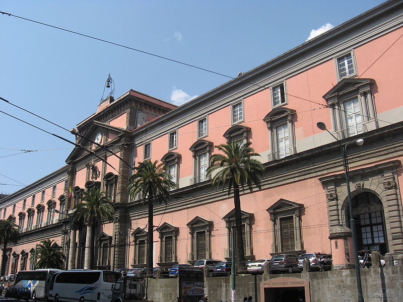 Национальный археологический музей Неаполя (Museo Archeologico Nazionale di Napoli)