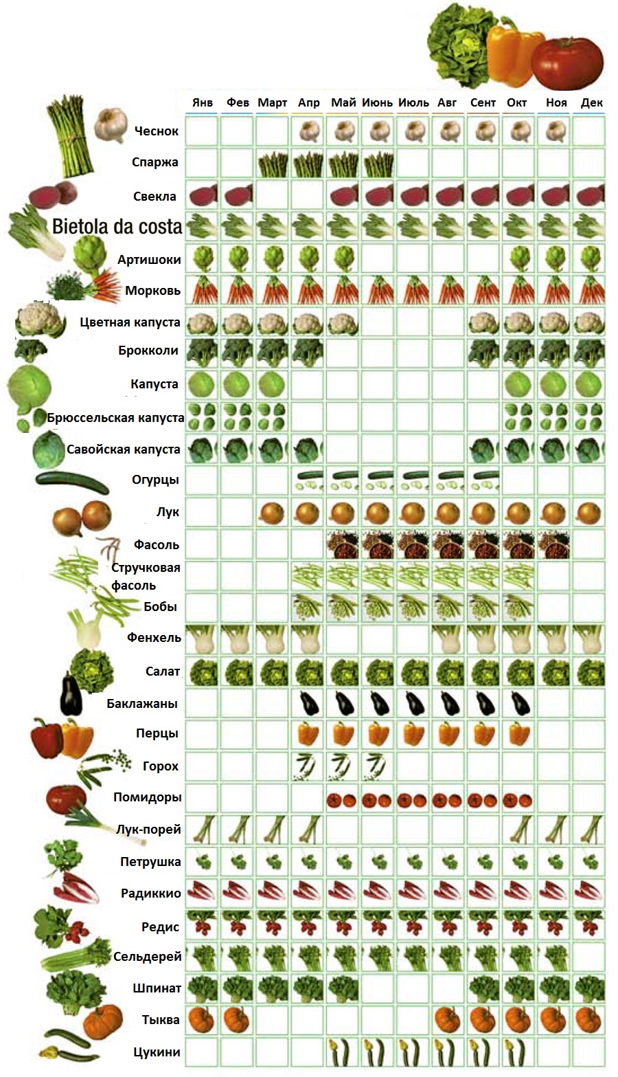 Сезонные фрукты и овощи в Италии (табличка)
